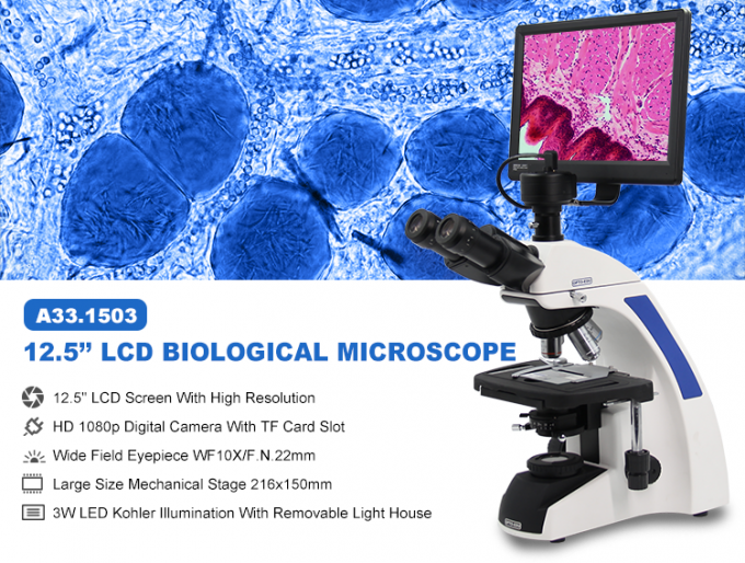 microscopioデジタルlcd
