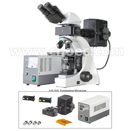 Infinite Binocular Fluorescence Microscope 3W LED Lamp B and G Filter A16.1032