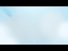 ステレオの光学顕微鏡