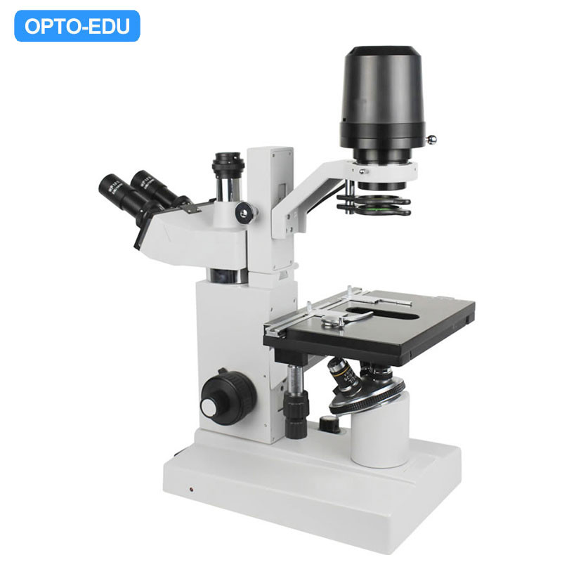 Opto Edu A14.0301 Inverted Optical Microscope Binocular 400x Abbe Condenser 12V 50W