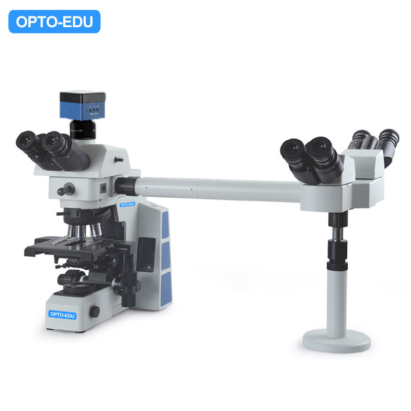Inclined 22mm Multi Viewing Microscope Opto-Edu A17.0950-3